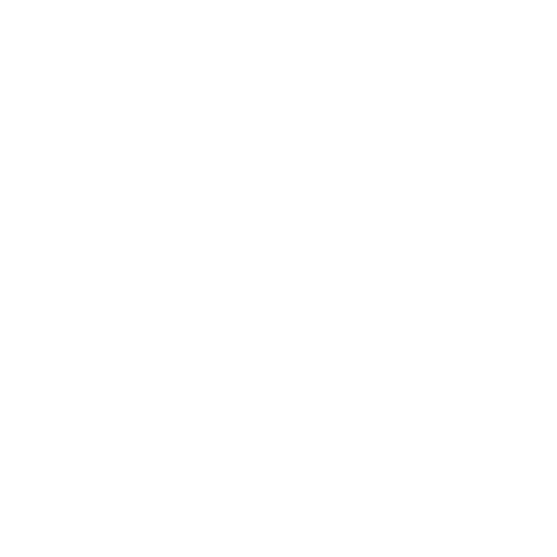 feature-item-2